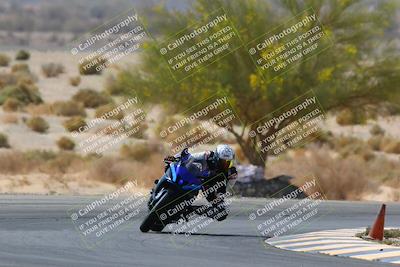 media/Apr-10-2022-SoCal Trackdays (Sun) [[f104b12566]]/Turn 5 Tree of Life (1040am)/